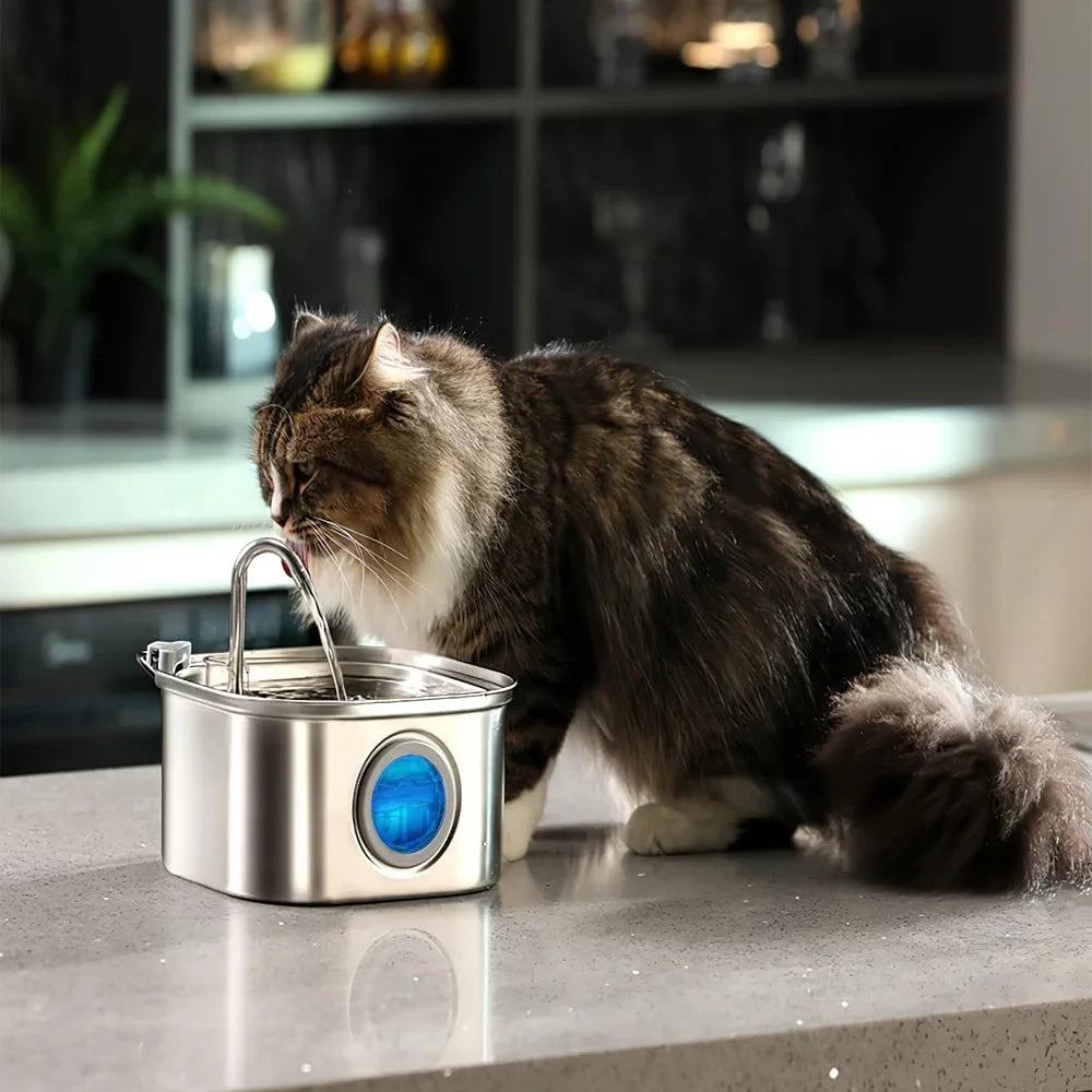 304 Stainless Steel Automatic Pet Drinking Fountain 108oz/3.2L Visual Window Cat Dog water feeder Live Water Filter With Faucet